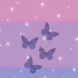 Meet your Posher, Riley